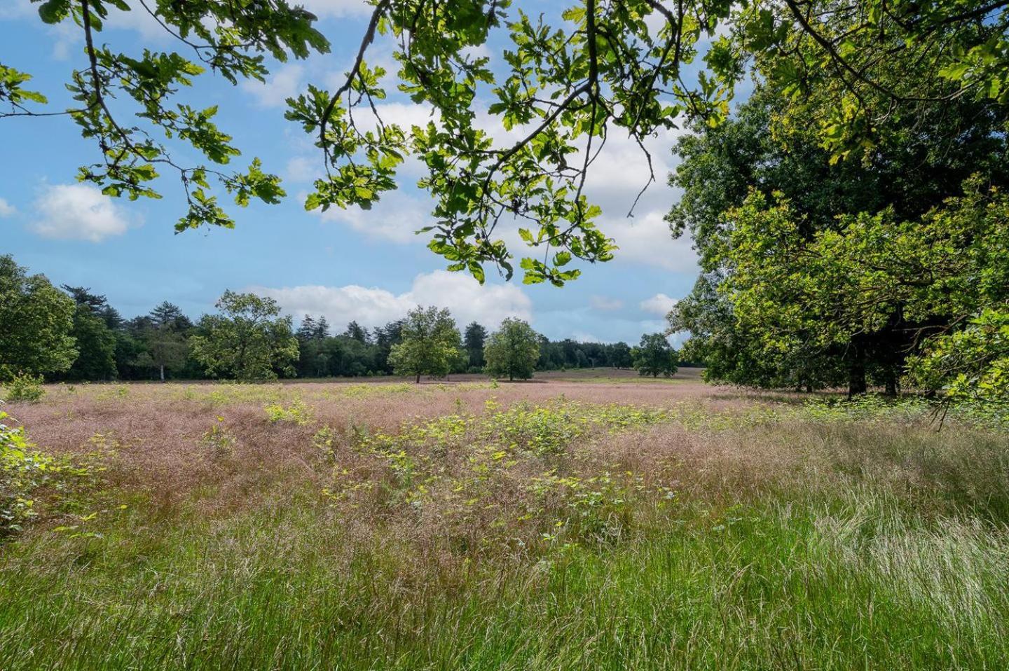 Landhuisje 31 'De Akkersteen' Bospark Ijsselheide Zwolle Hattemerbroek Exterior foto